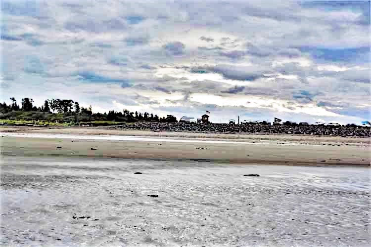 beach scene